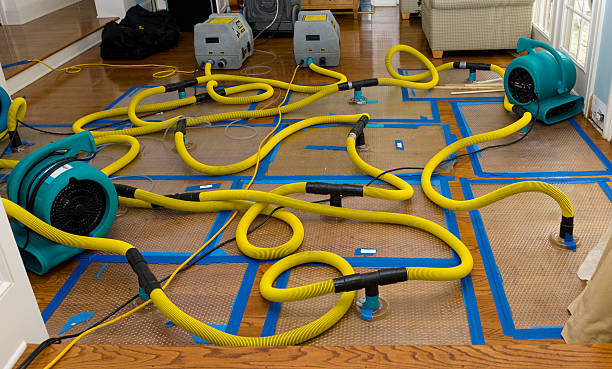 Professional Water Damage Restoration technician working in Lewisburg, PA